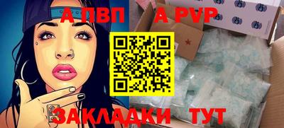 Альфа ПВП Кингисепп