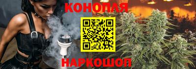 Альфа ПВП Кингисепп